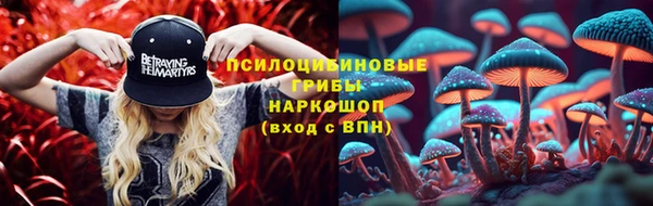 2c-b Алексин